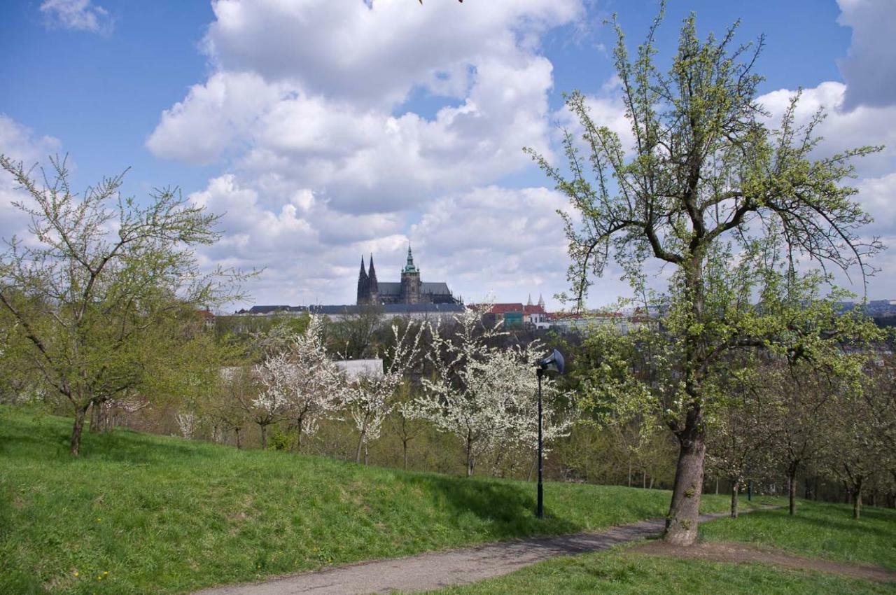 Apartments In Mala Strana - 10 Minutes From Charles Bridge Prag Exteriör bild